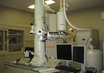 image1-6.png